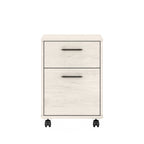 Caisson de classement mobile 2 tiroirs par Furniture