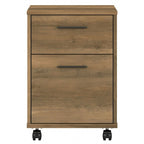 Caisson de classement mobile 2 tiroirs par Furniture
