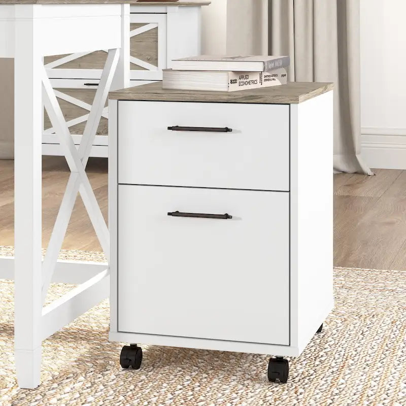 Caisson de classement mobile 2 tiroirs par Furniture