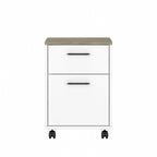 Caisson de classement mobile 2 tiroirs par Furniture