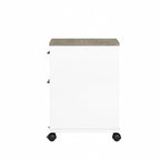 Caisson de classement mobile 2 tiroirs par Furniture
