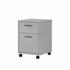 Caisson de classement mobile 2 tiroirs par Furniture