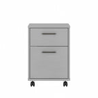 Caisson de classement mobile 2 tiroirs par Furniture